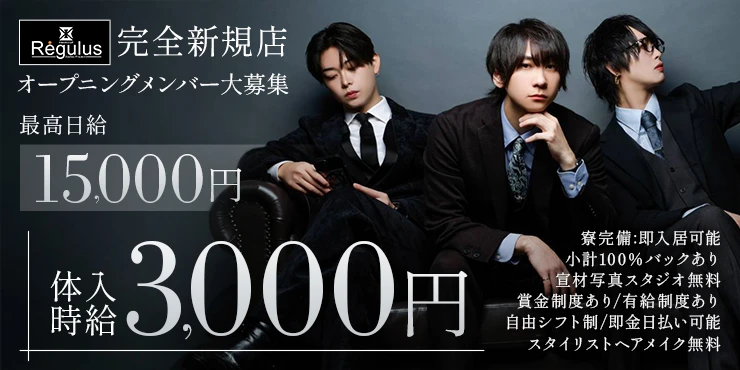 Regulusの求人画像1枚目